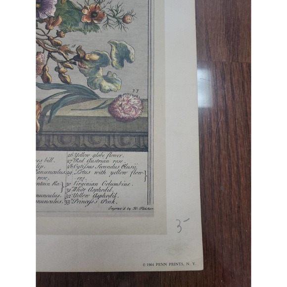 Rob Furber Gardiner Kensington 1730 Engraving by H Fletcher "May" Month Flowers - Picture 3 of 5